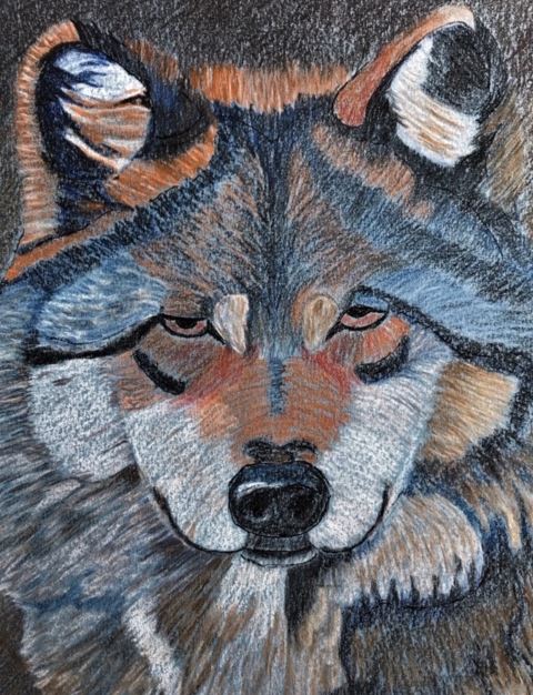 Reeves-wolf